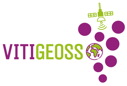 vitigeoss-logo